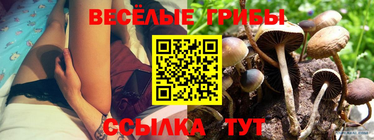 Галлюциногенные грибы ЛСД Пыть-Ях
